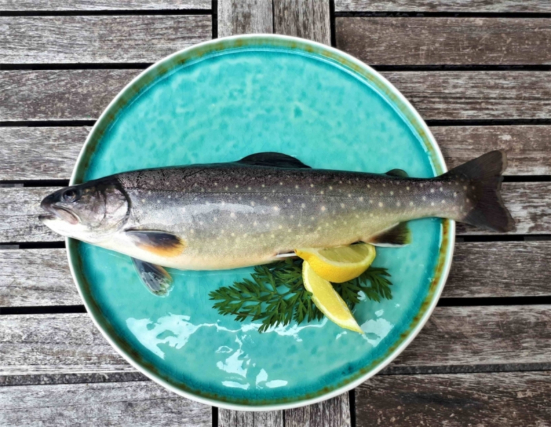 Saibling Fish Saibling, im Ganzen BIO - FoodCoop Gmunden